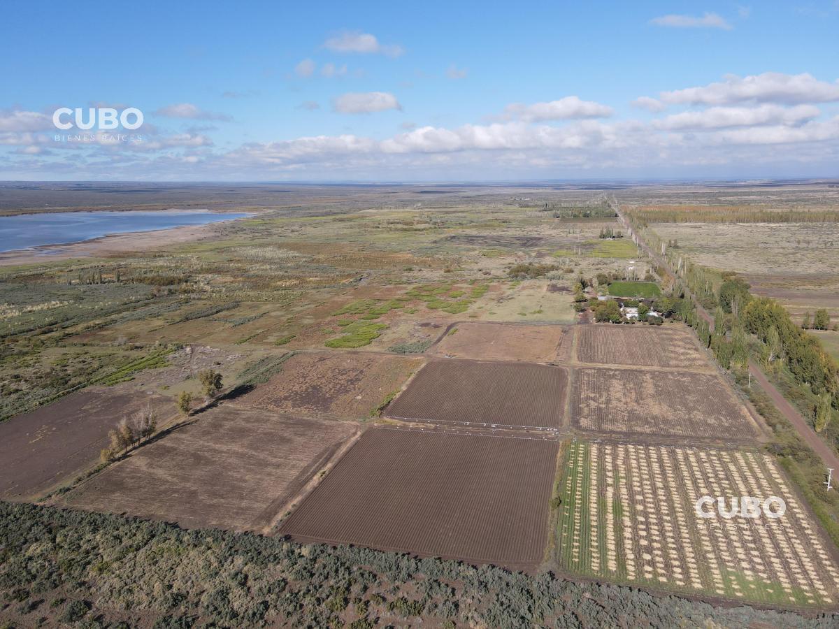 Cubo Vende Imponente Campo en Carrizal con Salida Al Dique, Mendoza 1