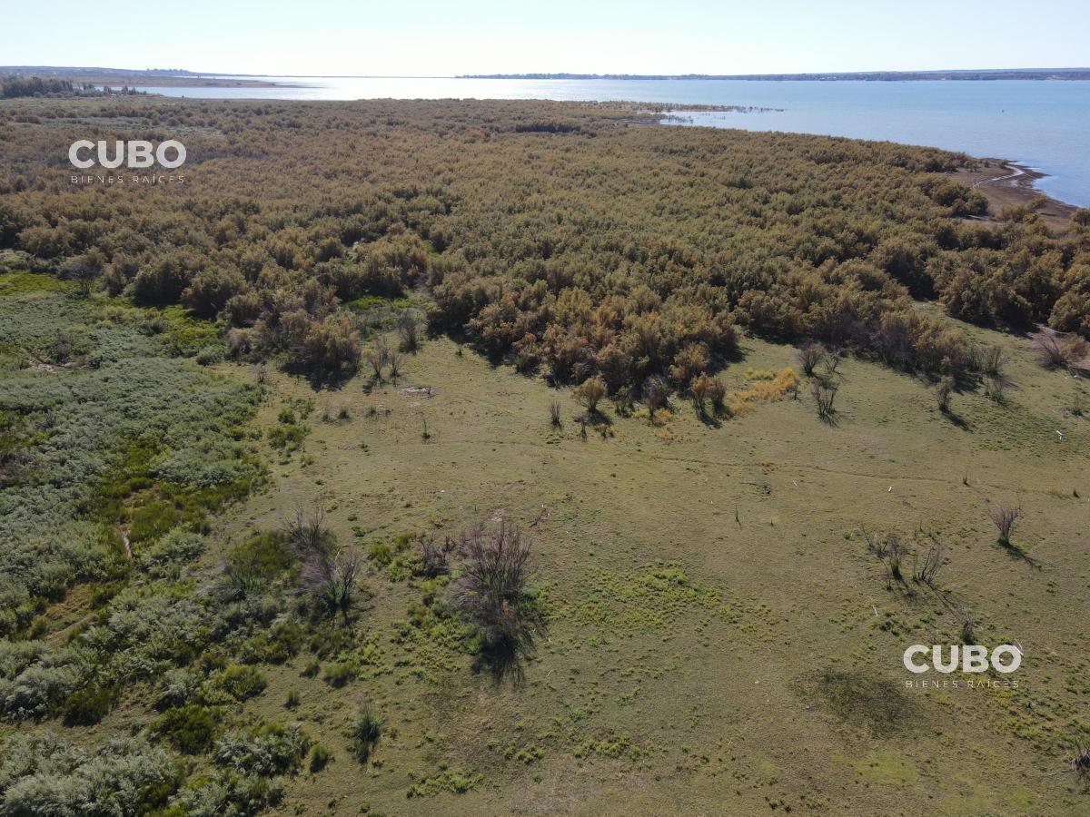 Cubo Vende Imponente Campo en Carrizal con Salida Al Dique, Mendoza 5