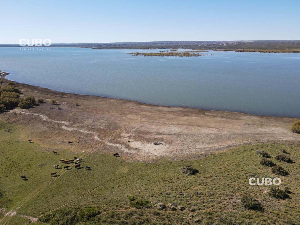 Cubo Vende Imponente Campo en Carrizal con Salida Al Dique, Mendoza 4
