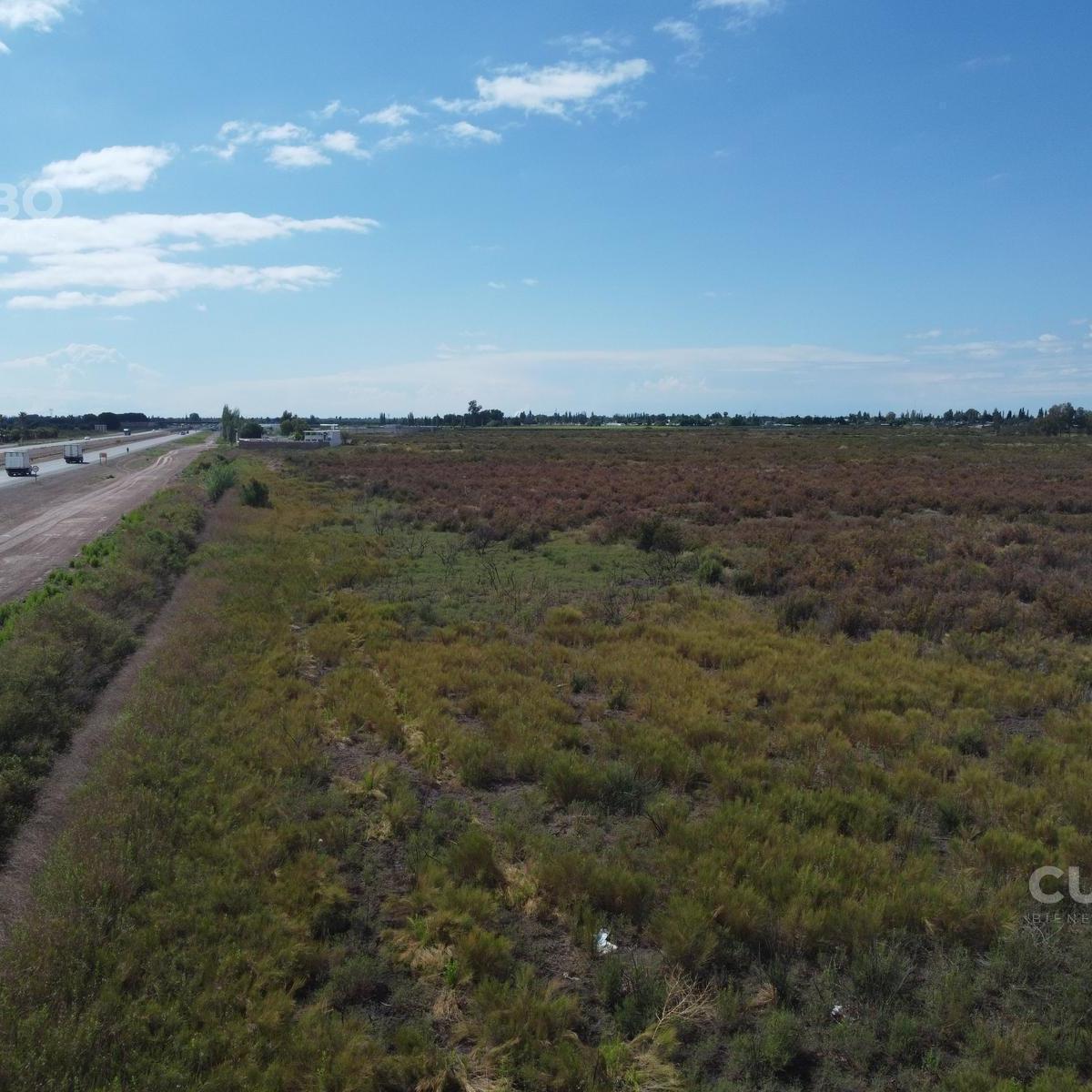 3 Ha Acceso Este San Roque Maipú - Mendoza 2