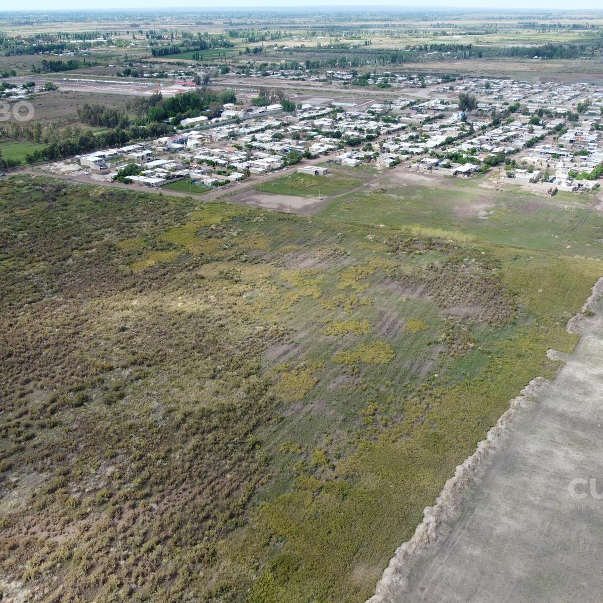 3 Ha Acceso Este San Roque Maipú - Mendoza 4