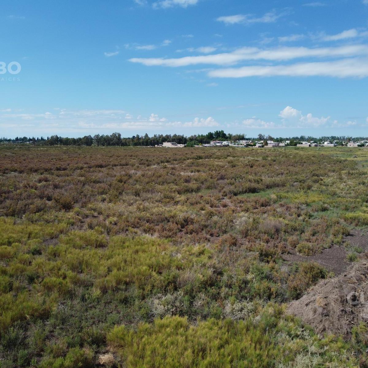 Terreno de 1 Hectarea Sobre Acceso Este Alturas Las Margaritas - San Roque - Maipu Mendoza 3