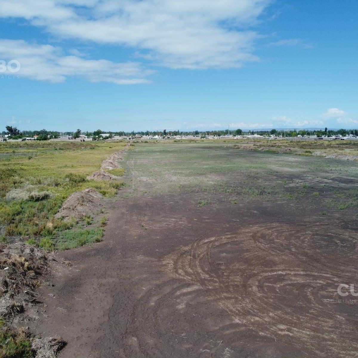Fraccion de 1,5 Ha en San Roque Maipu Mendoza 3