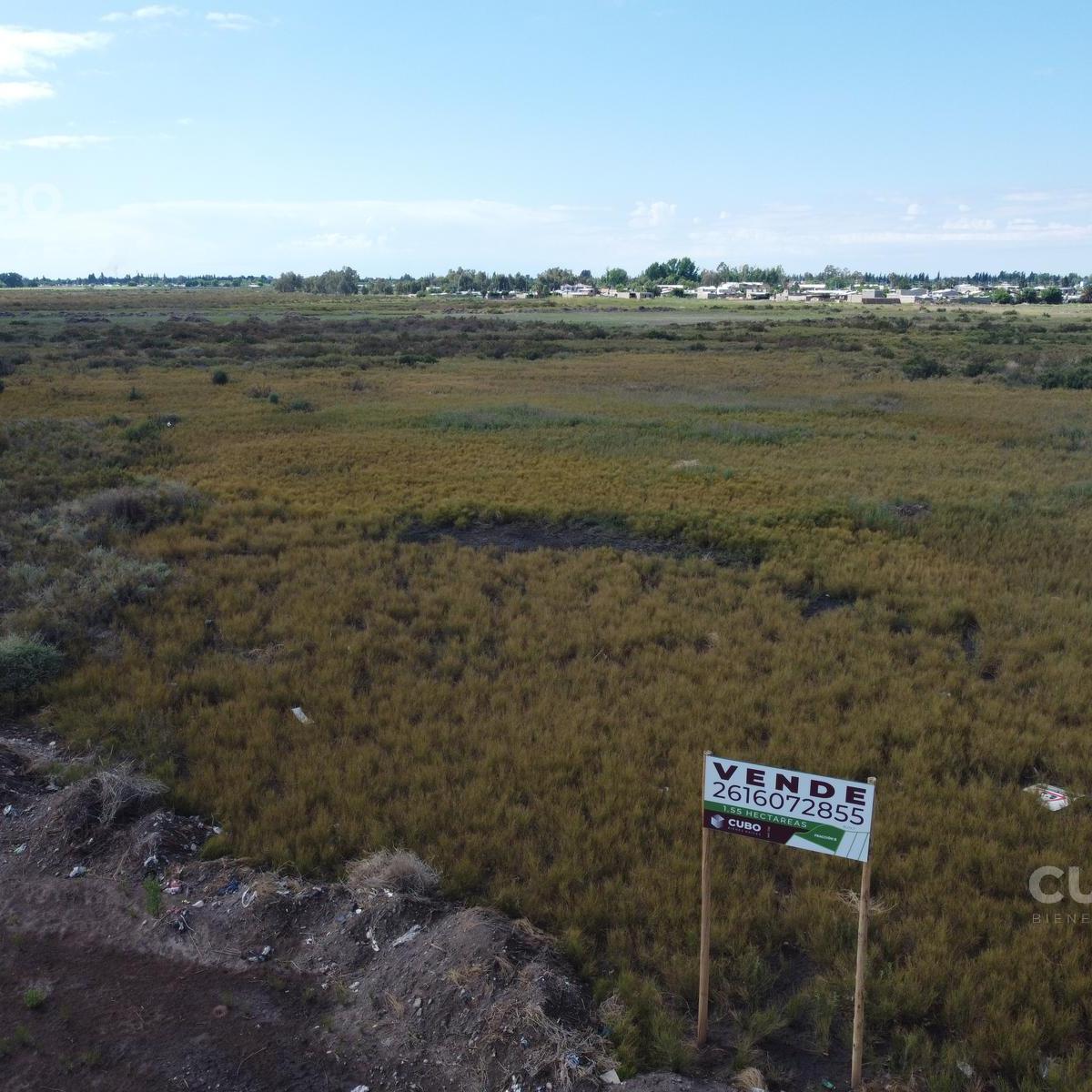 Fraccion de 1,5 Ha en San Roque Maipu Mendoza 4
