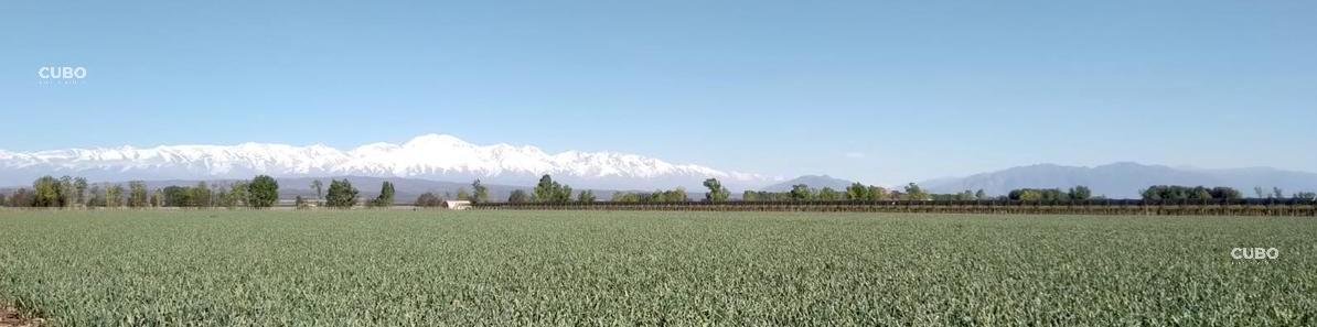 Cubo Vende - Excepcional Finca 30 Ha - Ugarteche - Luján de Cuyo - Mendoza 2