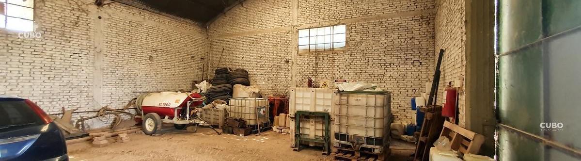Foto de VENTA FINCA 30 HAS., UGARTECHE, LUJÁN DE CUYO, MENDOZA., imagen 5