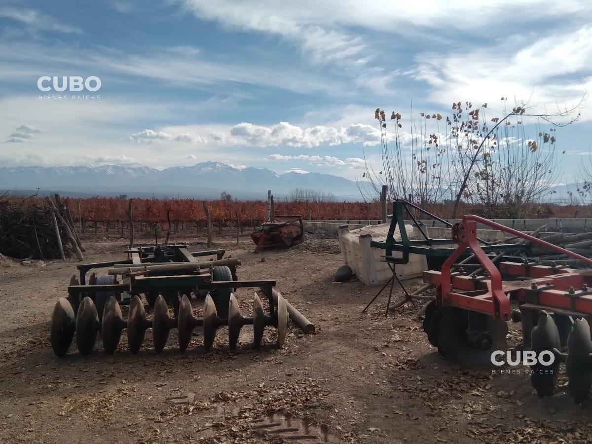 Cubo Vende - Excepcional Finca 30 Ha - Ugarteche - Luján de Cuyo - Mendoza 5