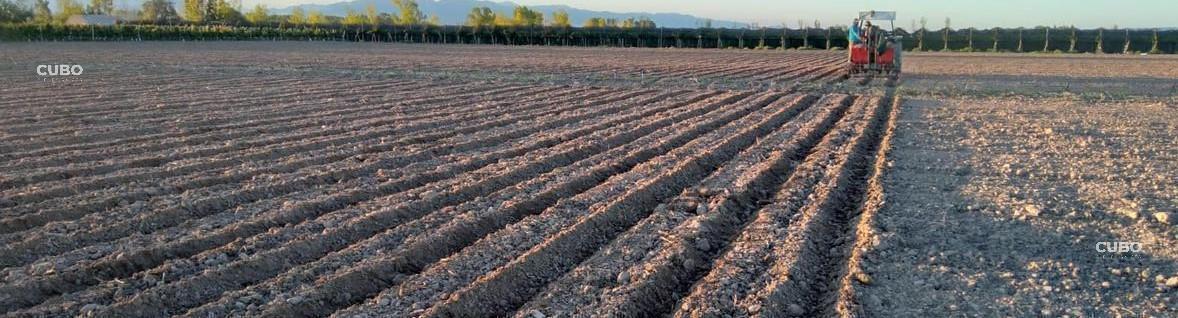 Cubo Vende - Excepcional Finca 30 Ha - Ugarteche - Luján de Cuyo - Mendoza 3