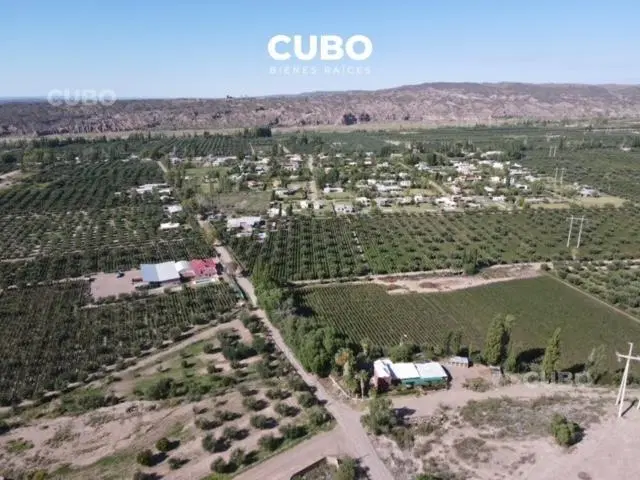 VENTA FINCA 3 HAS, CRUZ DE PIEDRA, LUNLUNTA, MAIPÚ 2