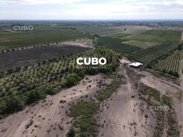 VENTA FINCA 3 HAS, CRUZ DE PIEDRA, LUNLUNTA, MAIPÚ 5