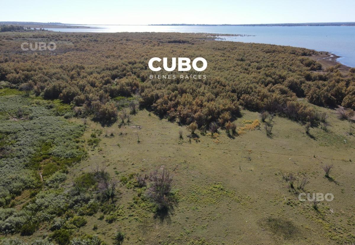 Foto de Venta de dos Terrenos en Carrizal de Abajo, Luján de Cuyo, ideal, imagen 5