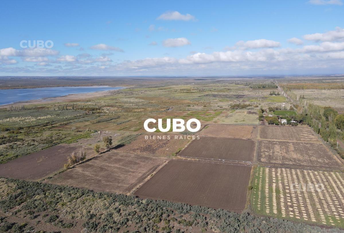 Foto de Venta de dos Terrenos en Carrizal de Abajo, Luján de Cuyo, ideal, imagen 4