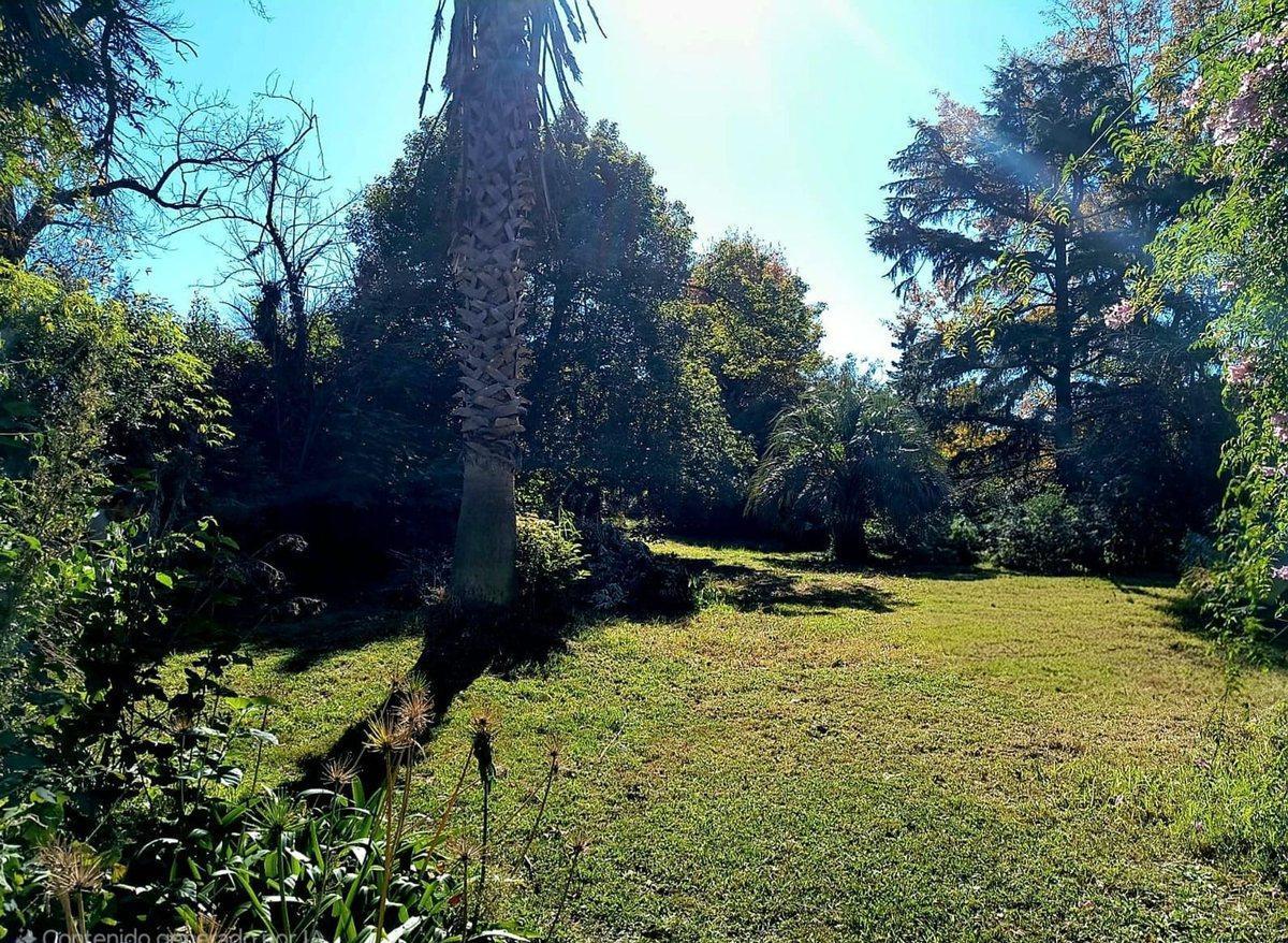 Venta terreno 10 x 30 buen acceso Ruta 7 Moreno