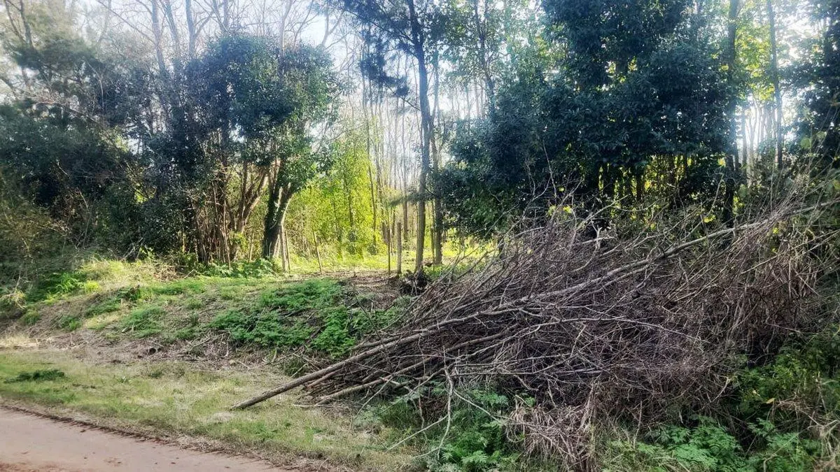 VENTA Chacra de 1 HA Mercedes 4