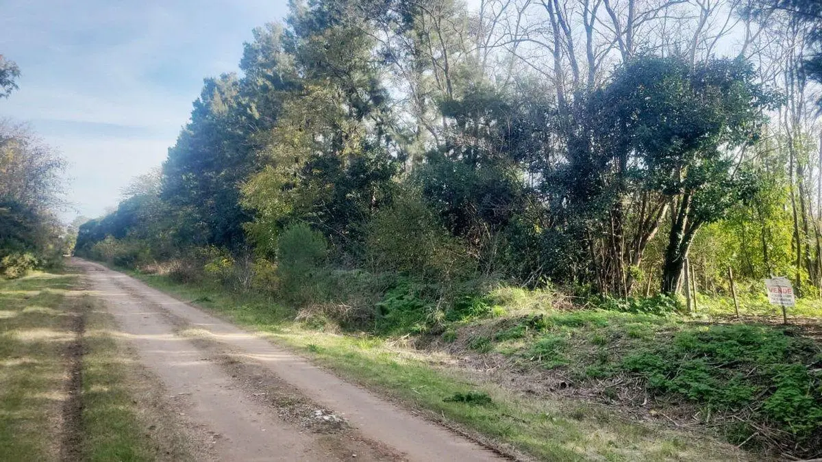 VENTA Chacra de 1 HA Mercedes 2