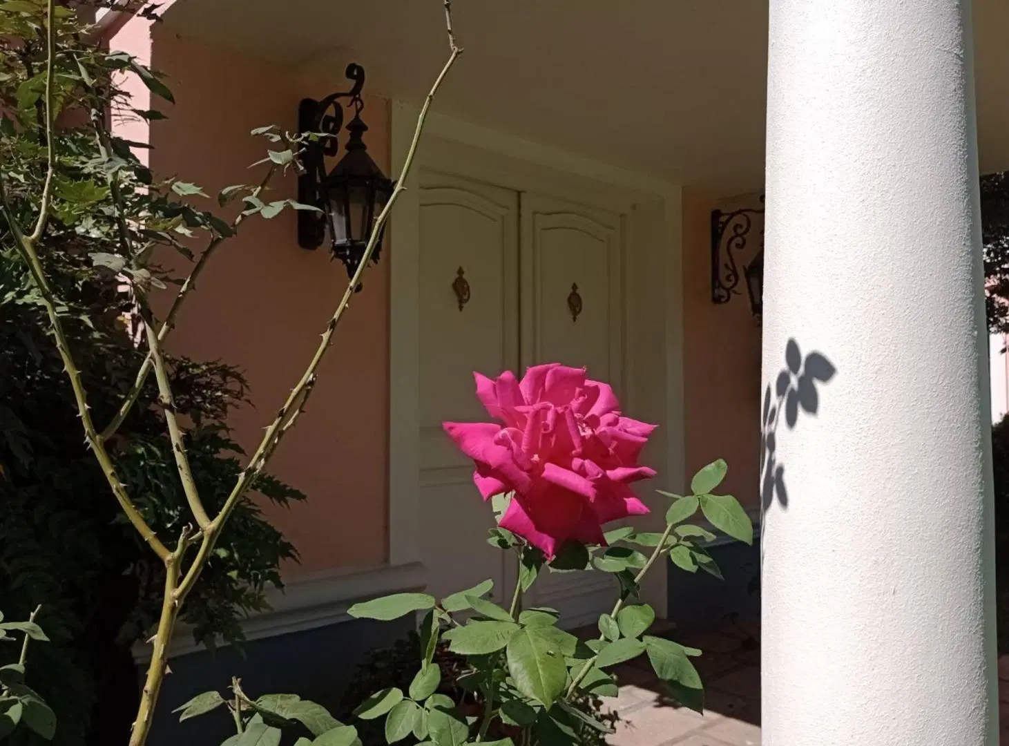 VENTA CHACRA DE 5,5 HS EN HARAS EL ARGENTINO LUJAN 5