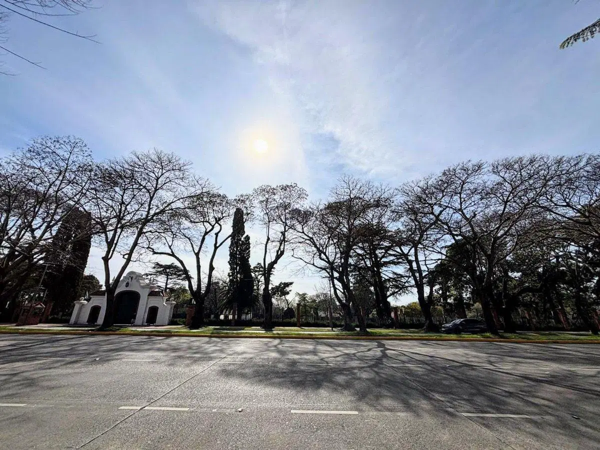 VENTA DEPTO 3 AMB. OLIVOS RECICLADO ZONA QUINTA. 4
