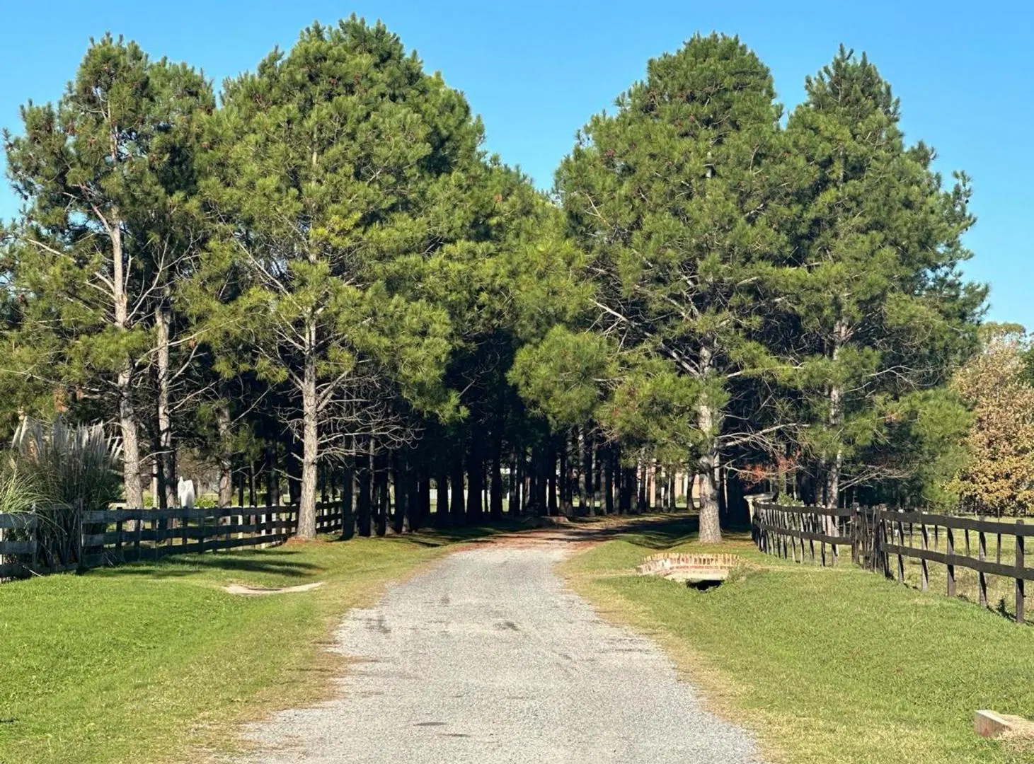 Venta lote de 1 ha con escritura La Macarena 3