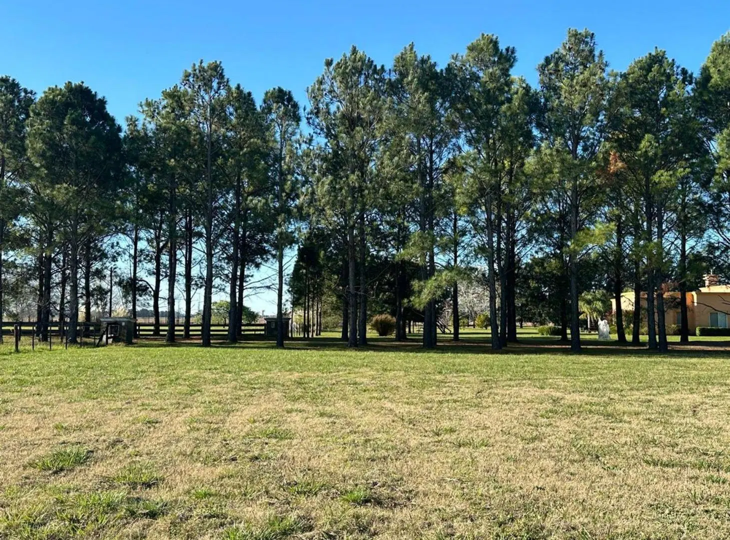 Venta lote de 1 ha con escritura La Macarena 4