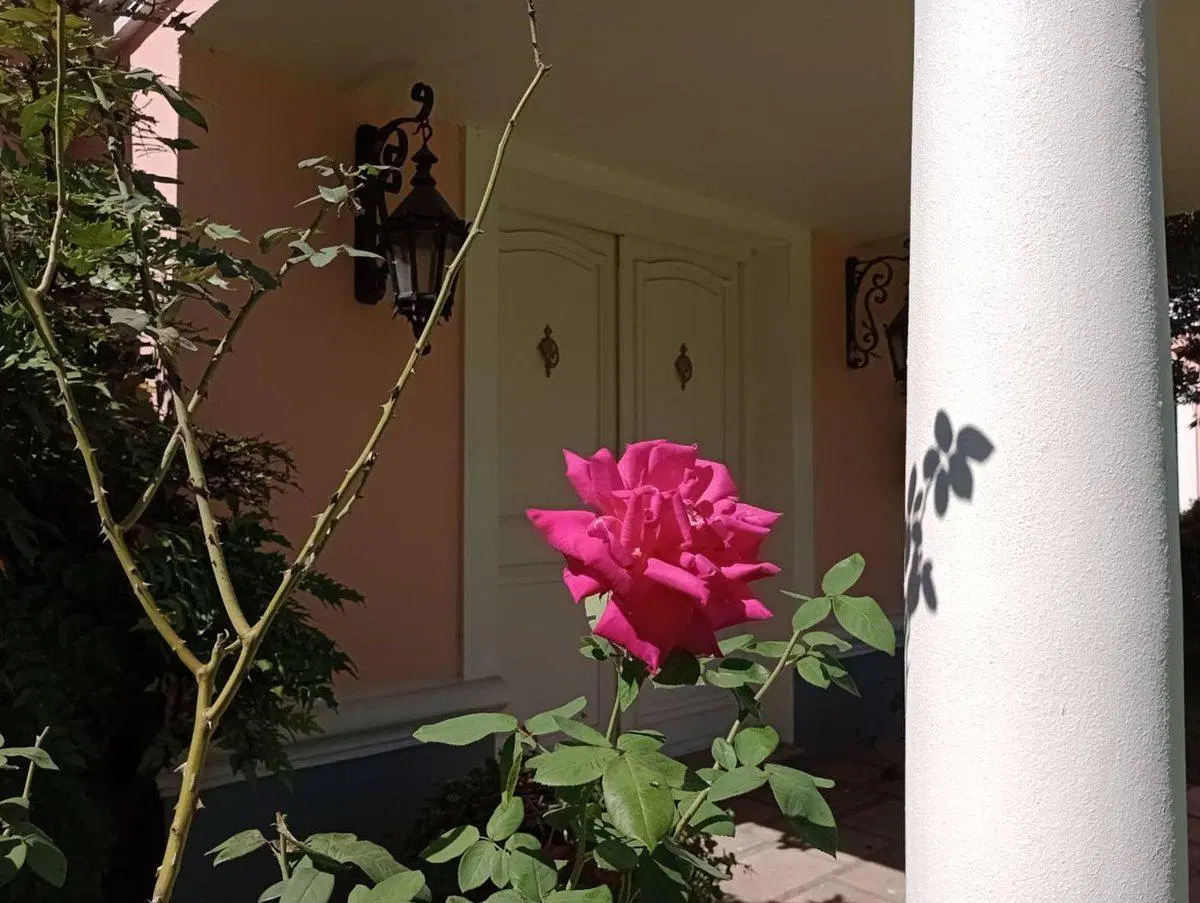 VENTA QUINTA DE 5,5 HS EN HARAS EL ARGENTINO LUJAN 2