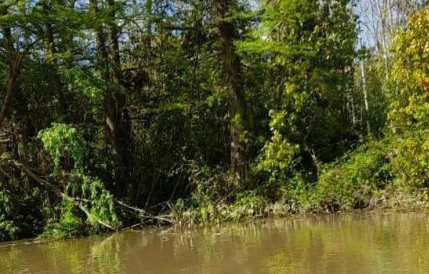 VENTA LOTE DELTA TIGRE OPORTUNIDAD 3
