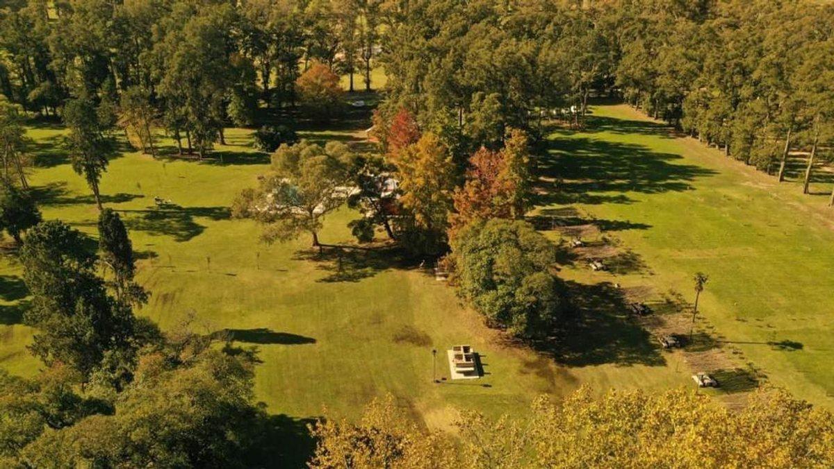 Foto de Venta Terreno Tres Pinos Barrio Norte, imagen 4
