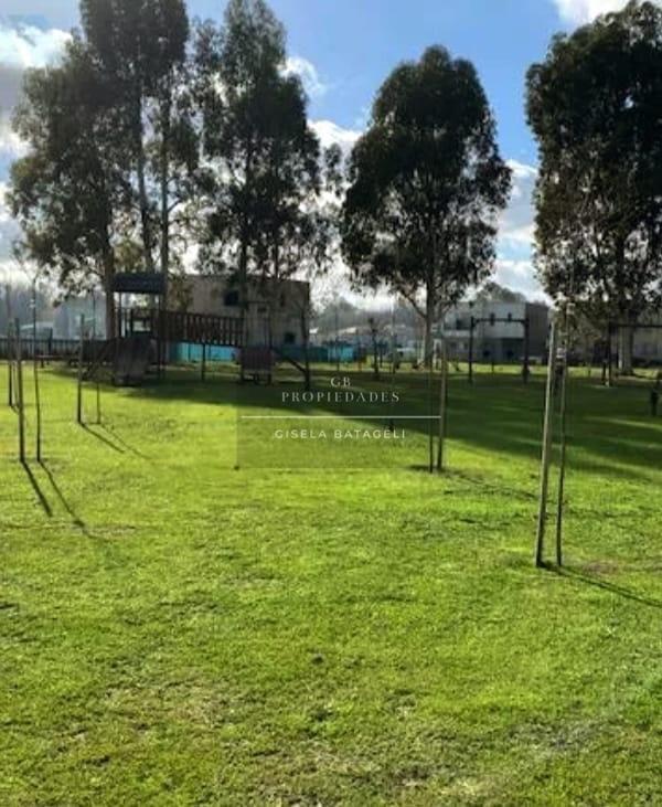 Foto de Venta de Lote en Santo Tomás, Pilar., imagen 2
