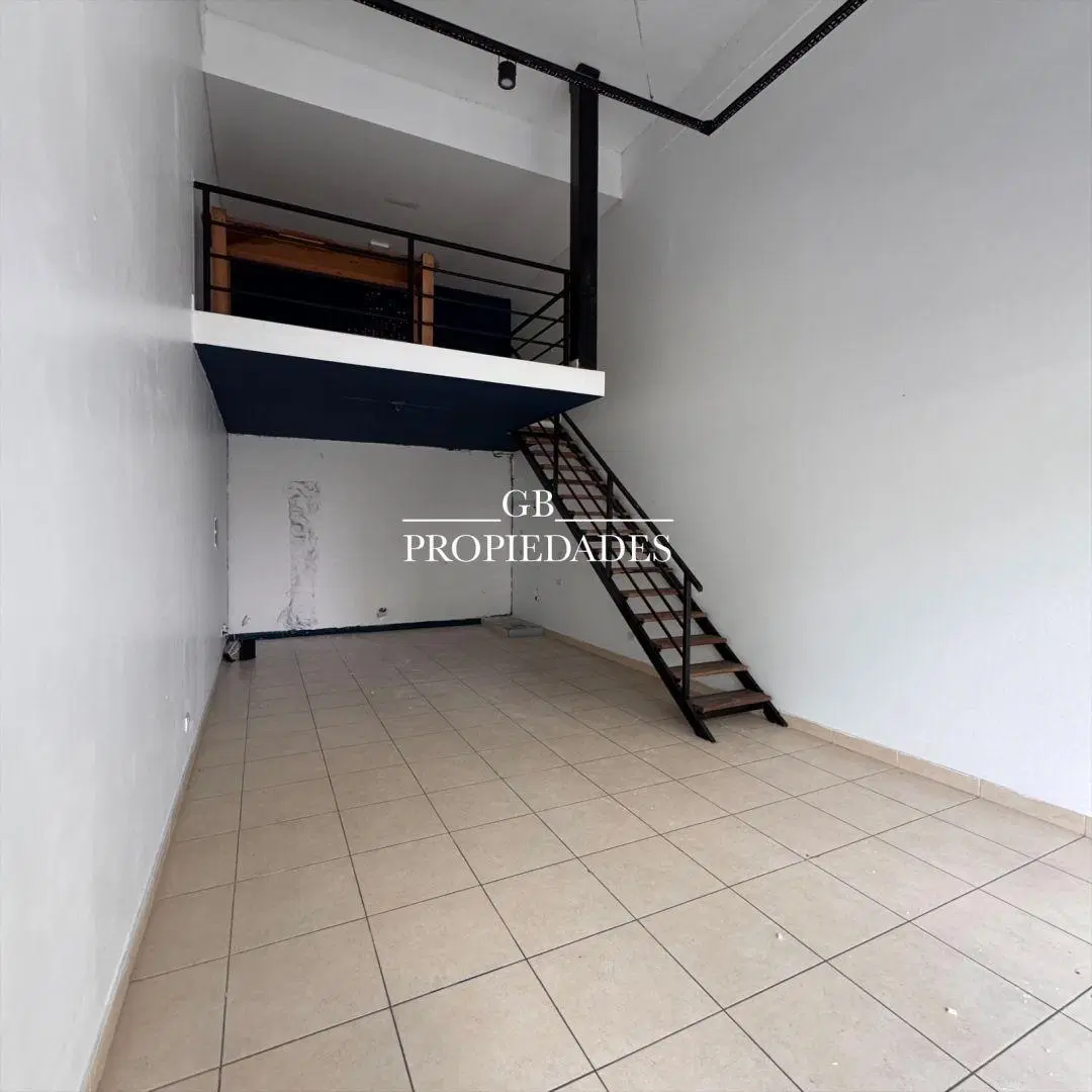 Alquiler de Local en 46 Plaza, Pilar 4