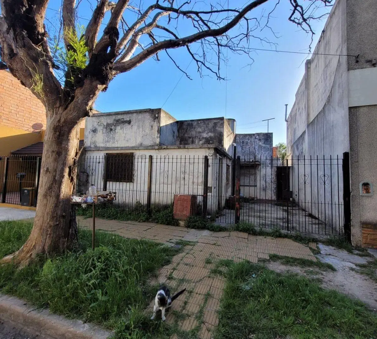CASA EN LOTE PROPIO A RECICLAR 3