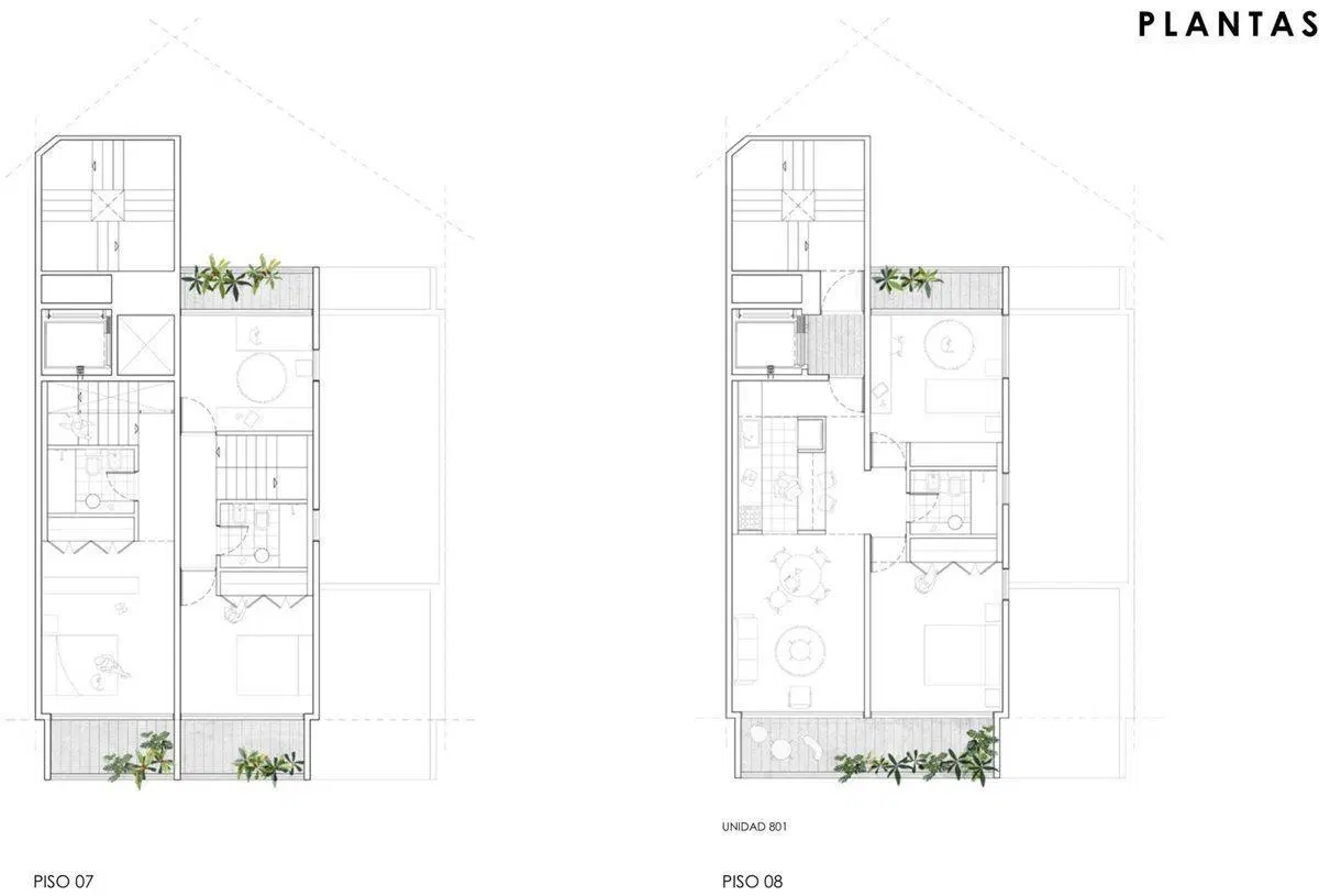 Plano 7