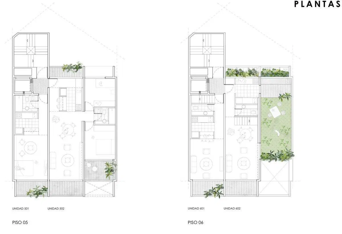 Plano 8