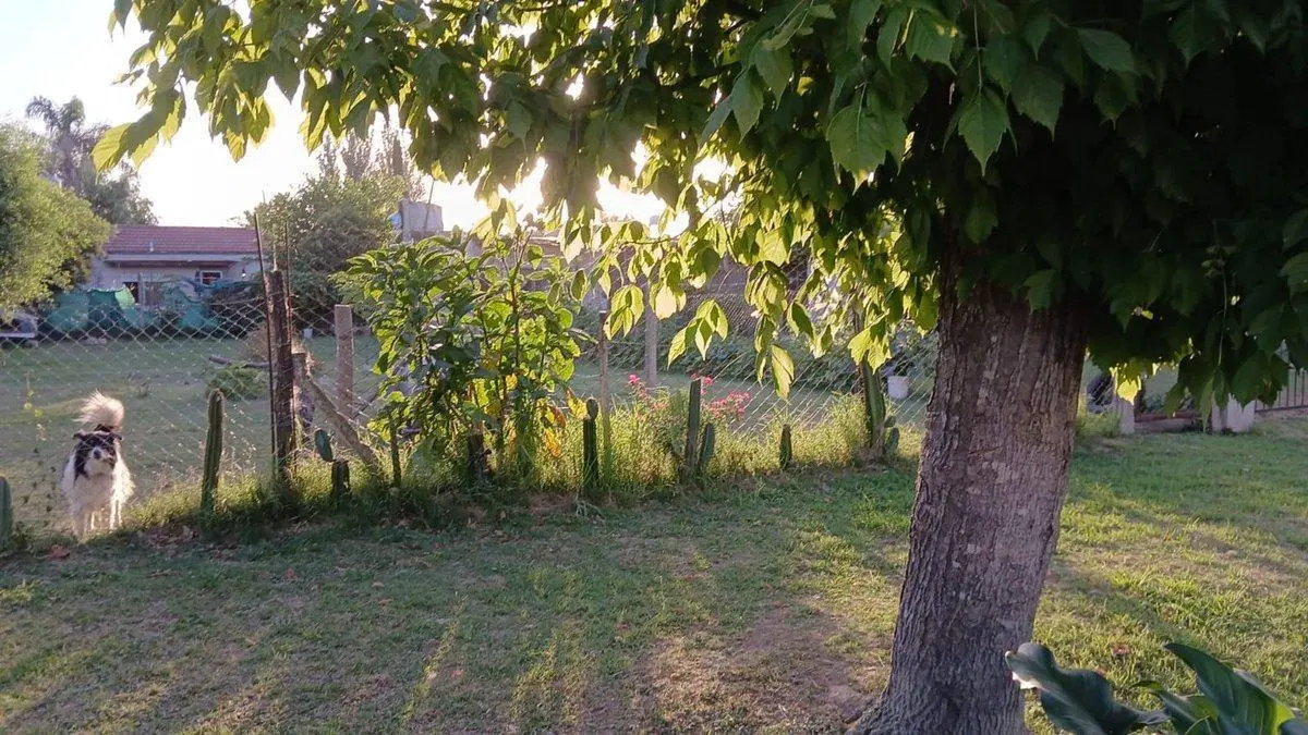 LOTE  360 m2 EN VENTA  -  LUJÁN - 4