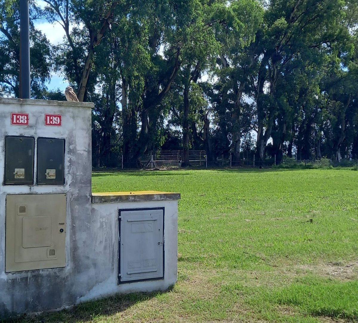 Foto de LOTE 2000 M2 BARRIO SANTA INÉS -COMARCAS DE LUJÁN, imagen 1