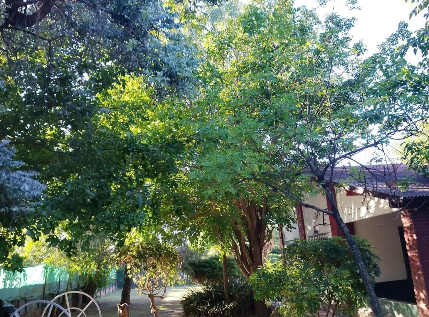 Foto de Quinta en Paso del Rey- 5.000 m2, imagen 1