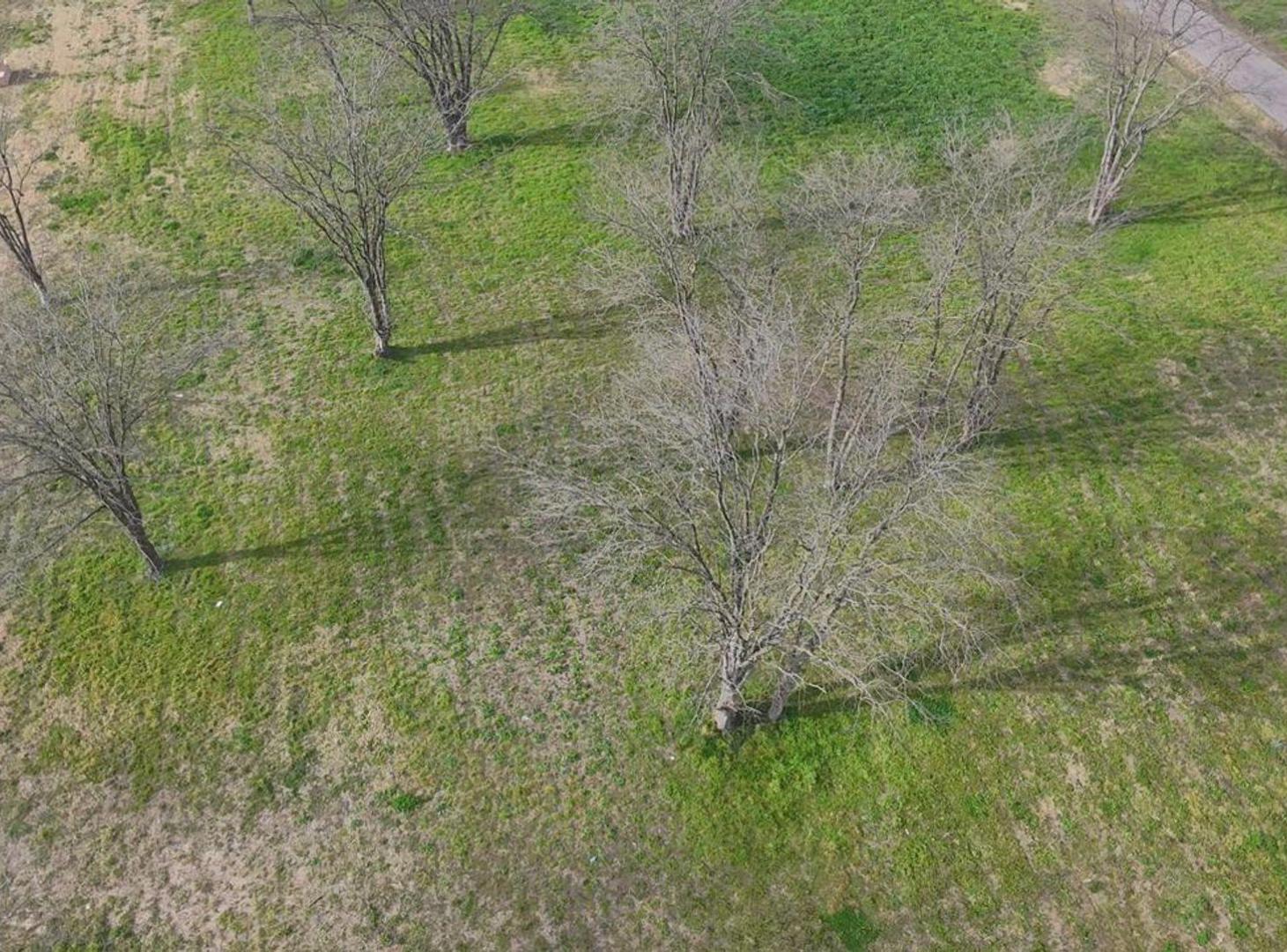 Foto de VENDE TERRENO 786 m2 PRADOS DEL OESTE 2, imagen 4