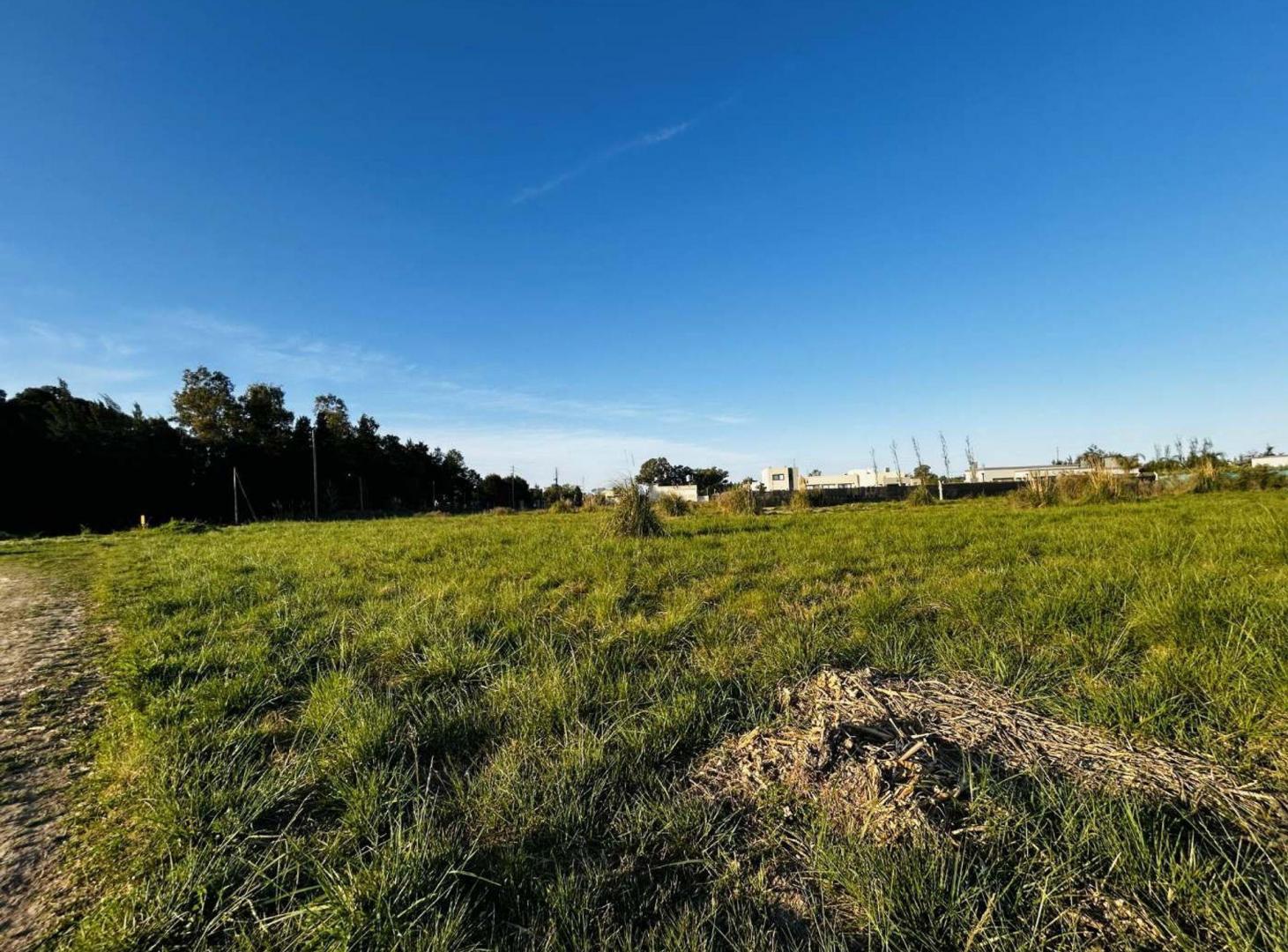 VENTA - TERRENO BARRIO DEL VINELLI - LOBOS
