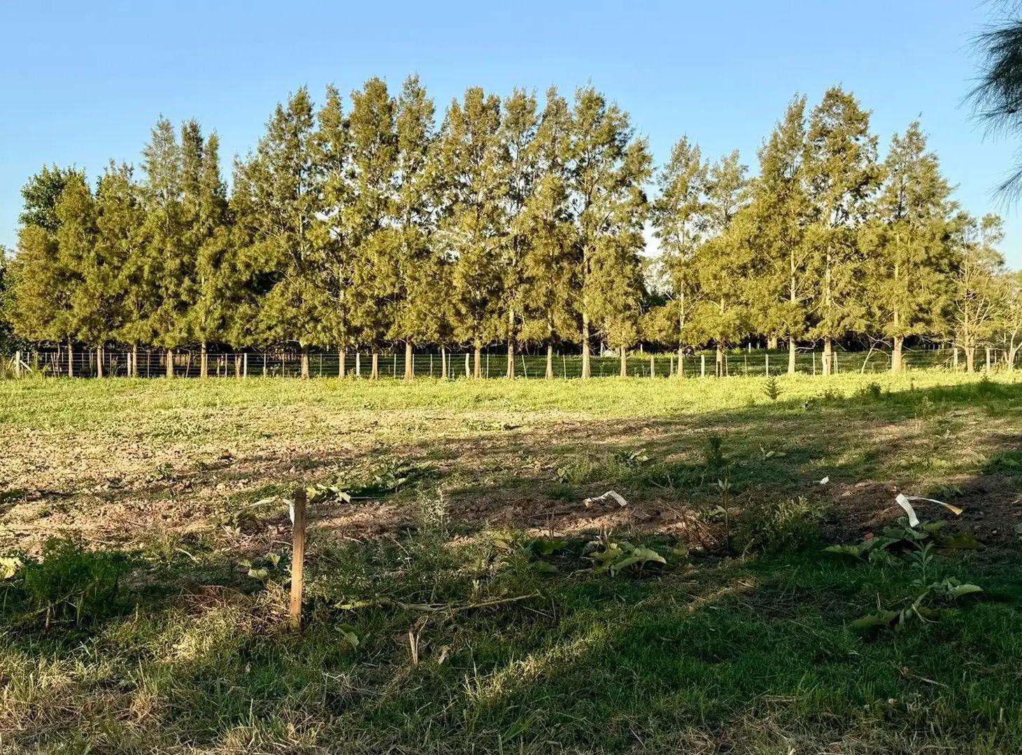 VENTA EXCELENTE LOTE EN ZAPIOLA LOBOS