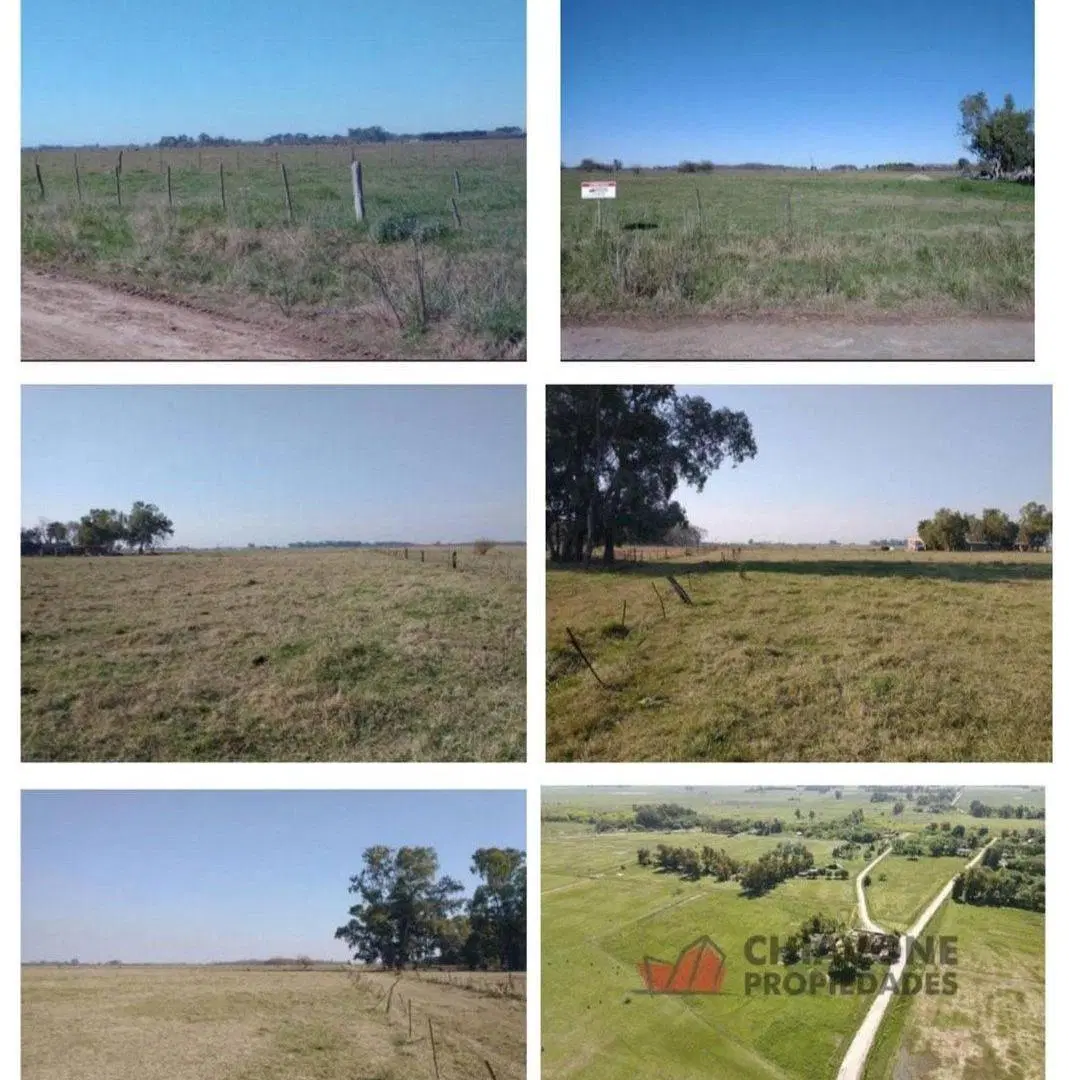 VENTA - LOTE EN ZAPIOLA - LOBOS 3