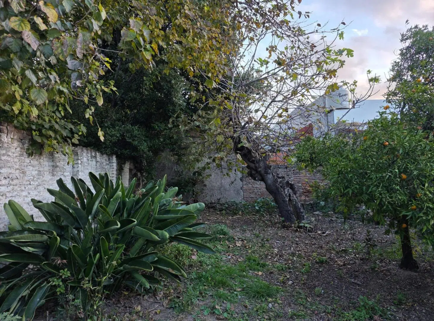 VENTA CASA 3 AMB RAMOS MEJIA A REFACCIONAR 5