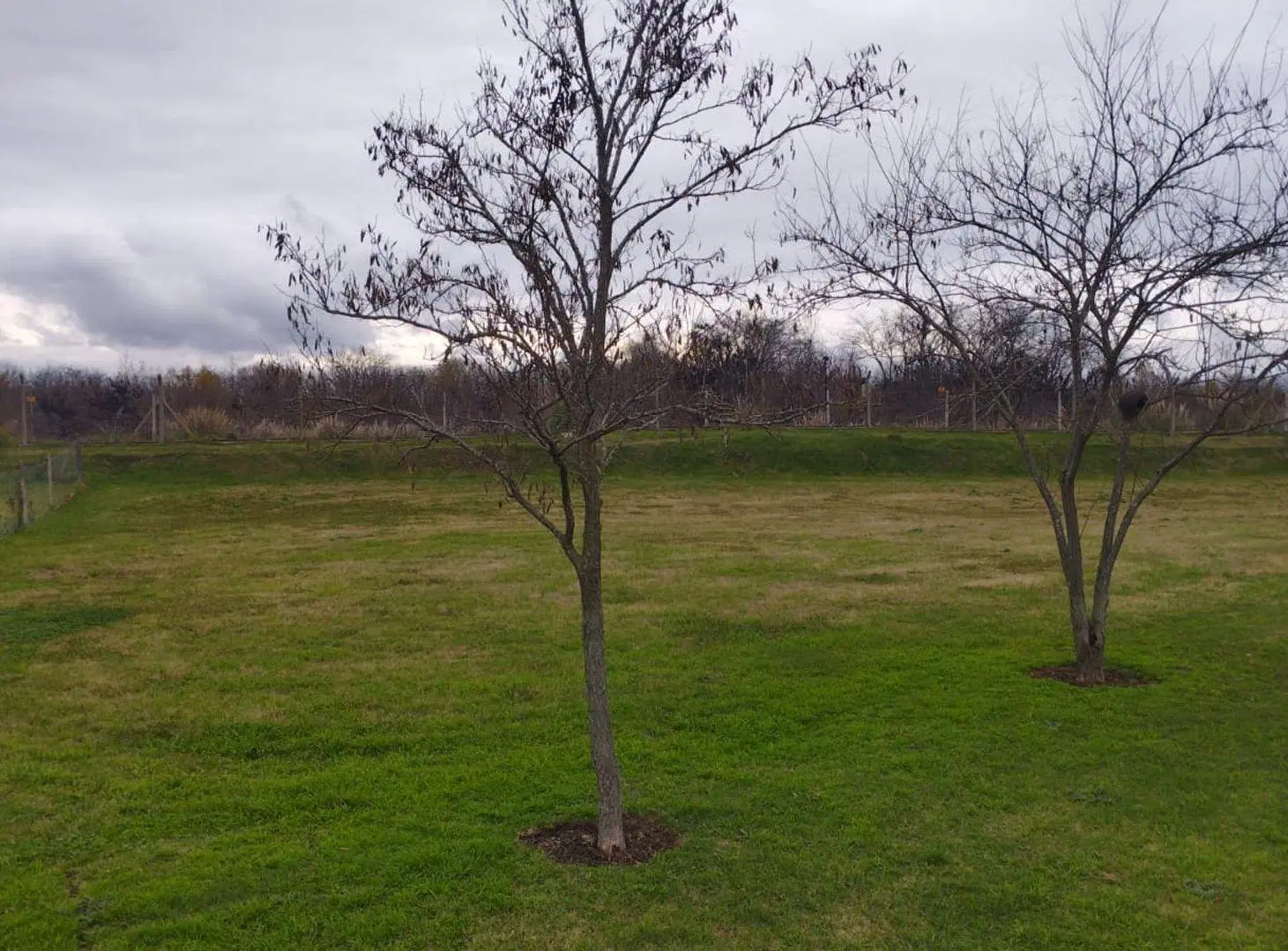 VENTA LOTE SAN BASTIAN- AREA 11 5
