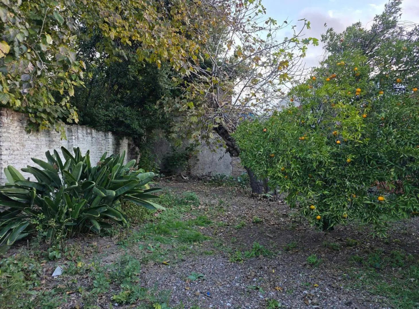 VENTA CASA 3 AMB RAMOS MEJIA A REFACCIONAR 8