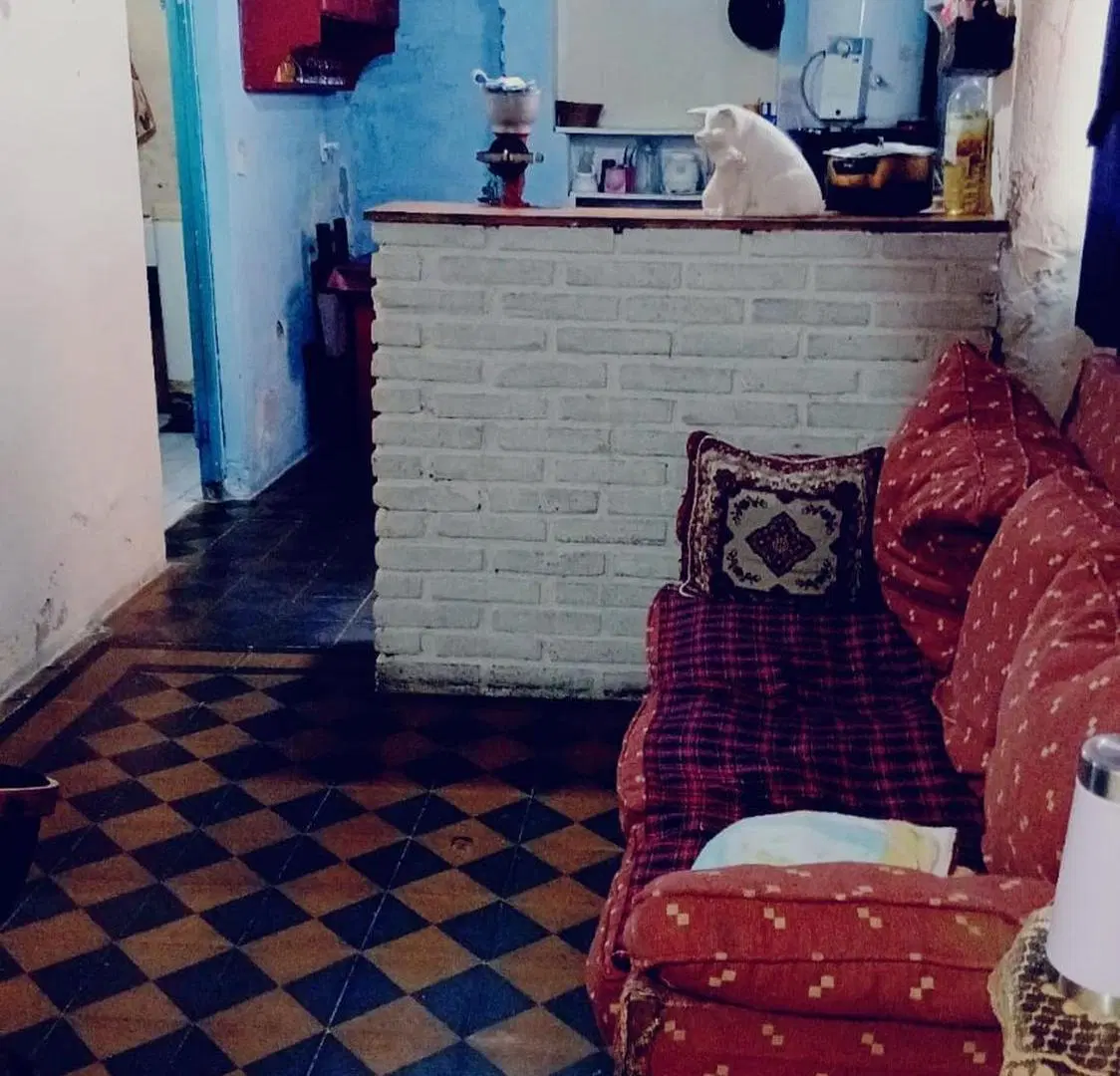 VENTA GALPON + 2 DPTOS VILLA LYNCH SAN MARTIN 4