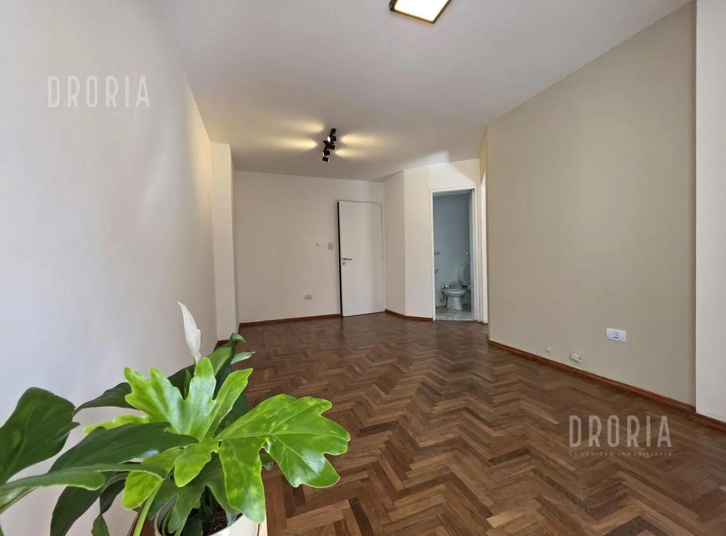 Departamento en VENTA 1 Dormitorio Nueva Córdoba 3