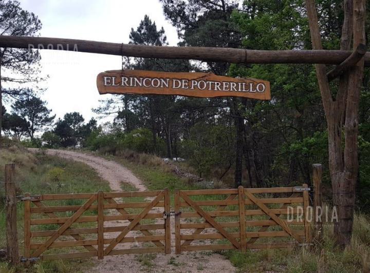 Foto de Se Vende Lotes en Rincon de Potrerillos., imagen 2