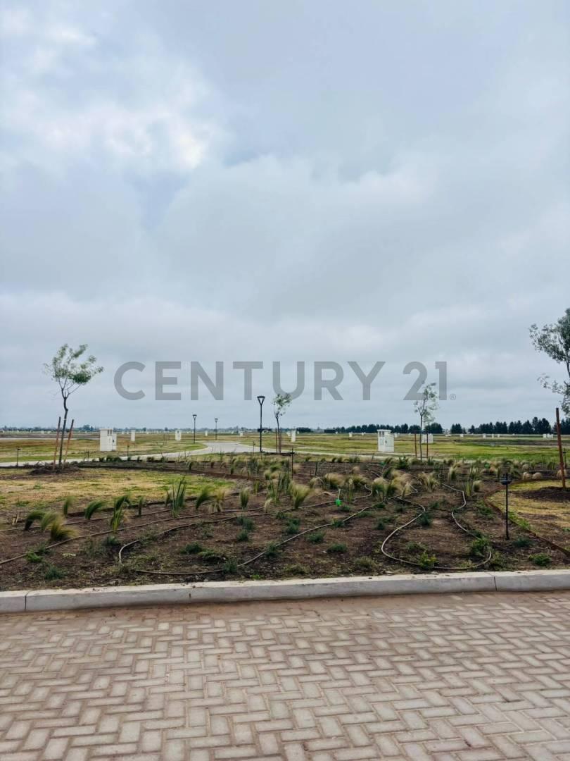 Foto de Venta Lote Barrio Damasia al Sur Canning Ezeiza, imagen 4