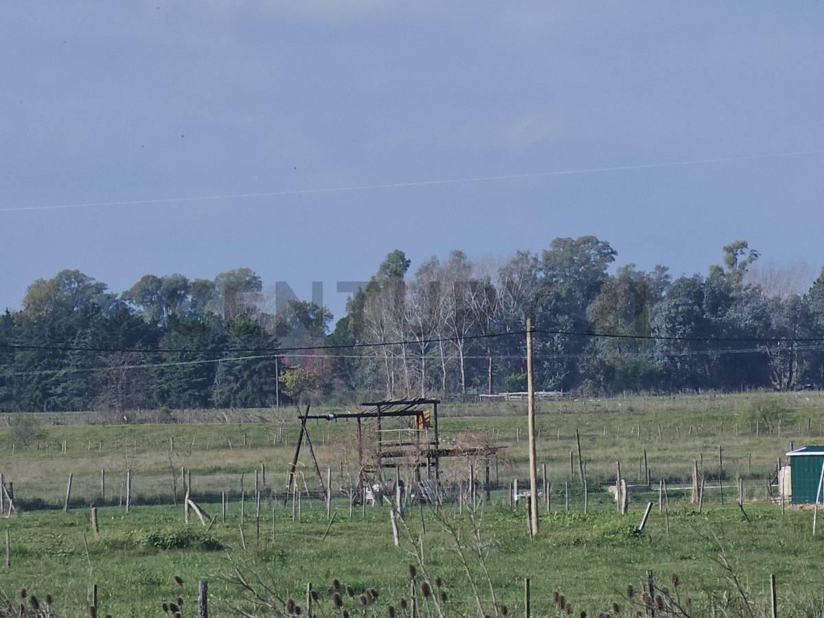 Foto de Venta Lote 1000m2 Mercedes La Cinacina, imagen 2