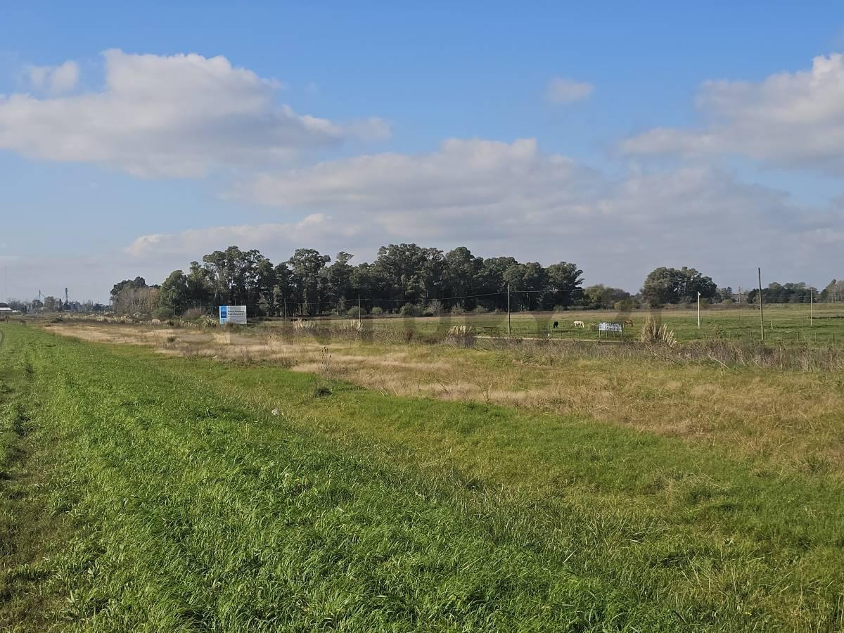 Foto de Venta Lote 1000m2 Mercedes La Cinacina, imagen 5