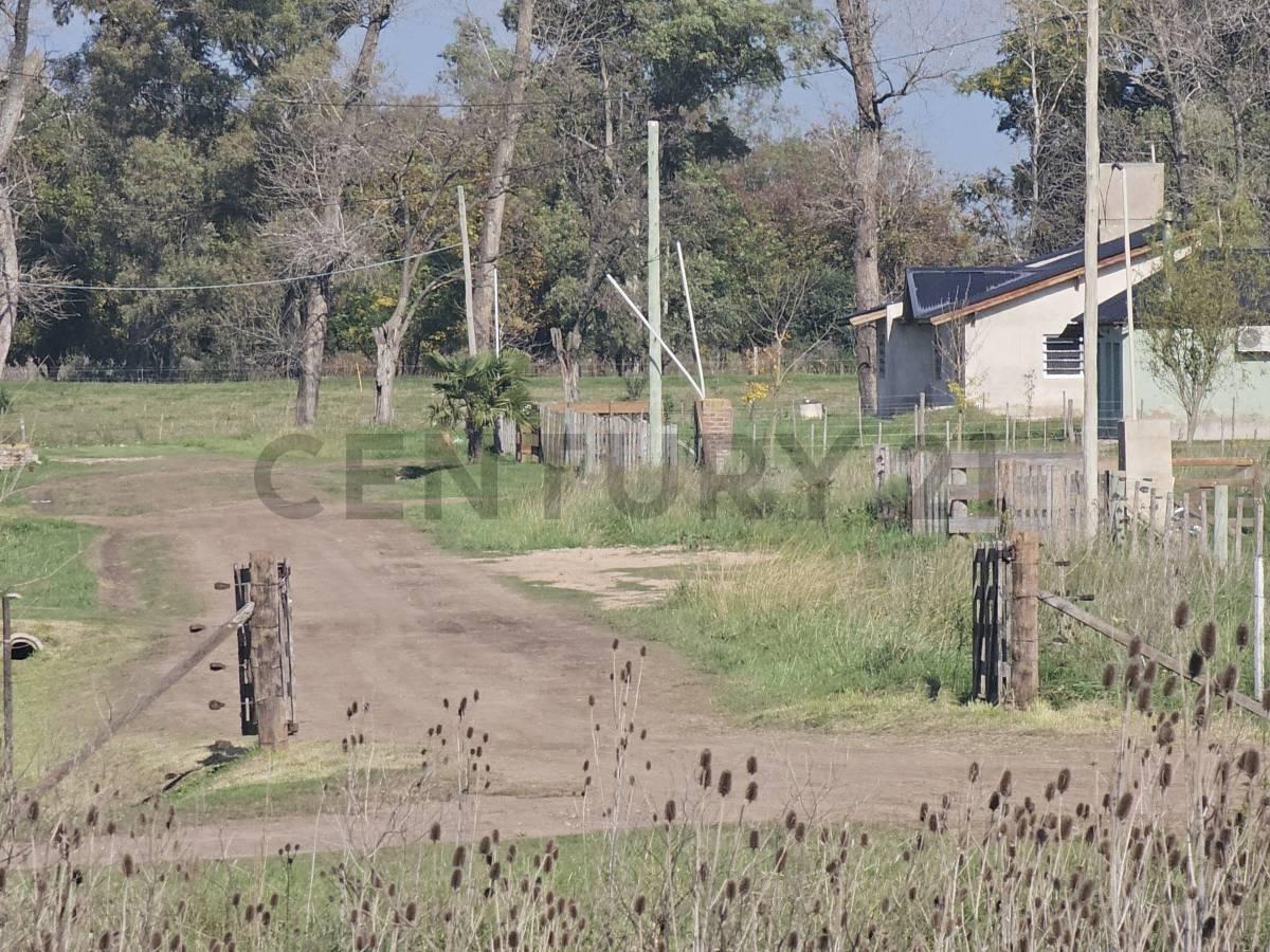 Foto de Venta Terreno 2500 m2 Mercedes La Cinacina, imagen 1
