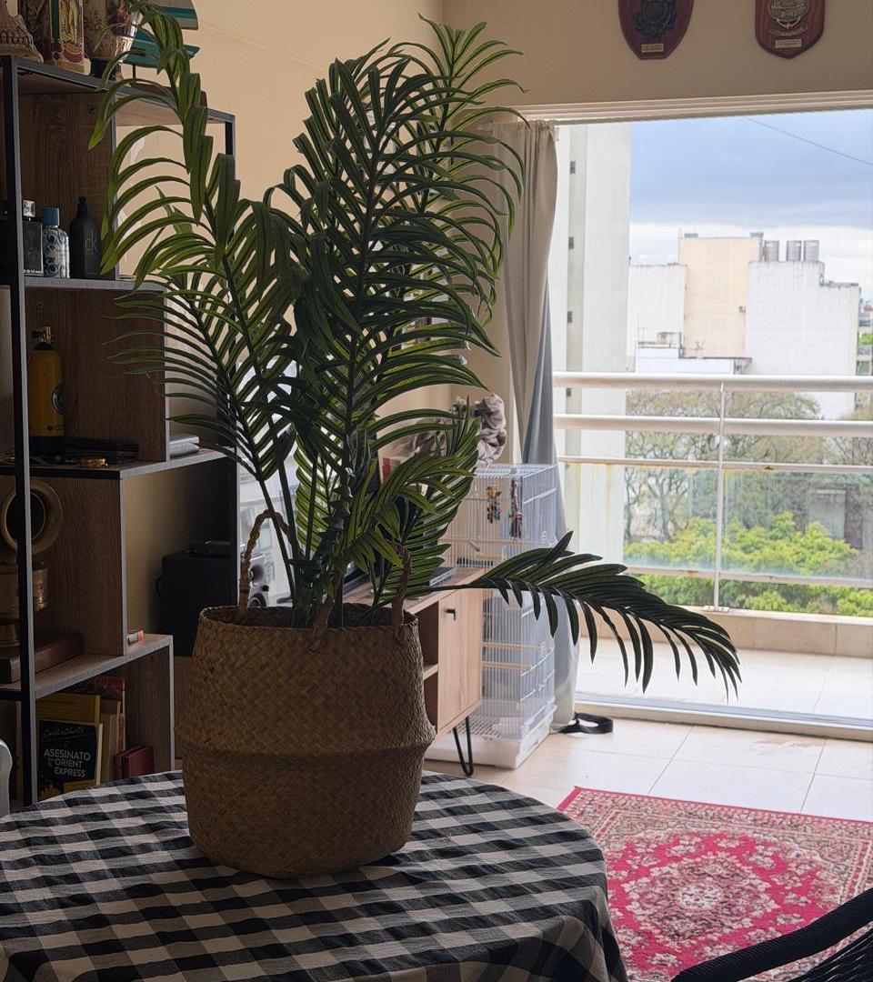 Foto de Departamento monoambiente Villa Urquiza en venta piso alto vista, imagen 5
