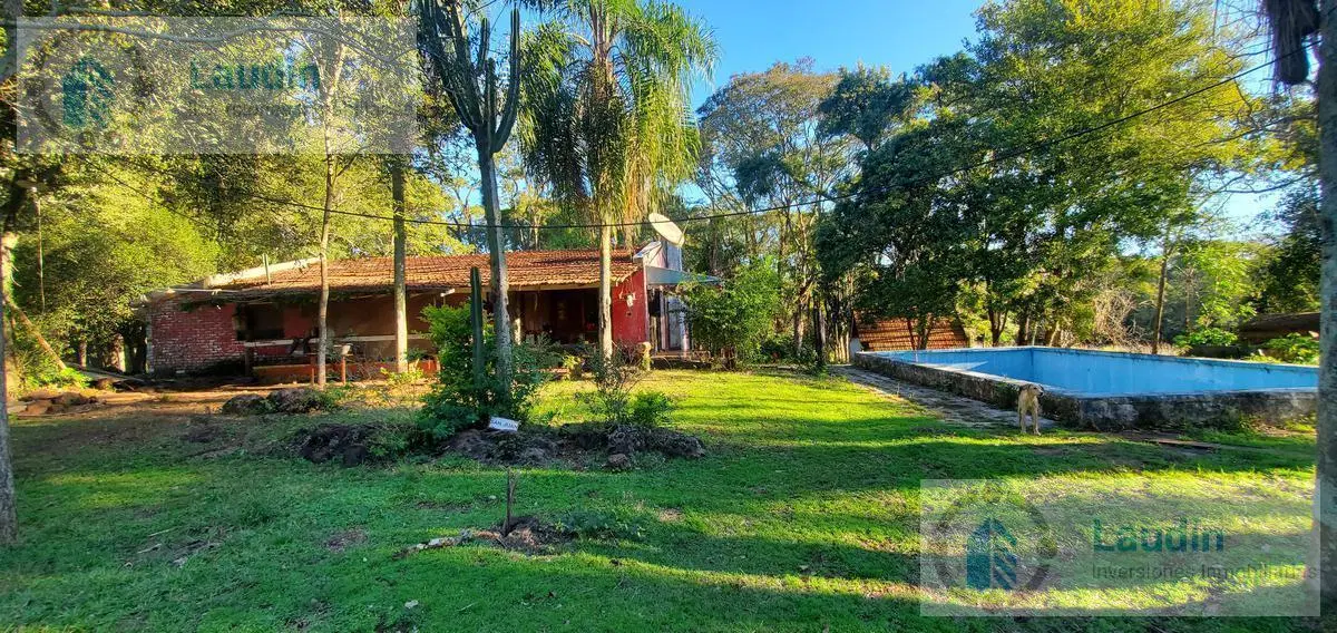 Se vende Campo ganadero forestal - Santa Ana 5